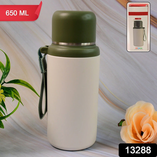 Stainless Steel Mug / Bottle Vacuum Insulated Cup With Handle, Small Cup & Straw (650 ML) the24kgal