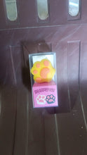 2 in 1 Pencil Sharpener & Eraser for Kids, Fancy Sharpeners the24kgal