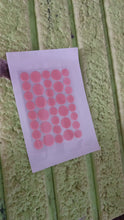 Pimple Patches for Face (2 Sheet Set) the24kgal