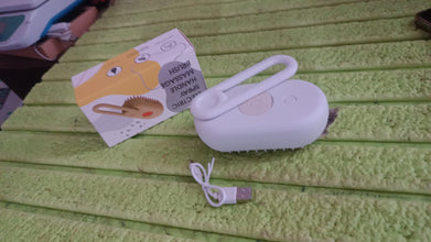 Electric Spray Handle Massage Brush, Hair Removal Brush Steam (1 Pc) the24kgal