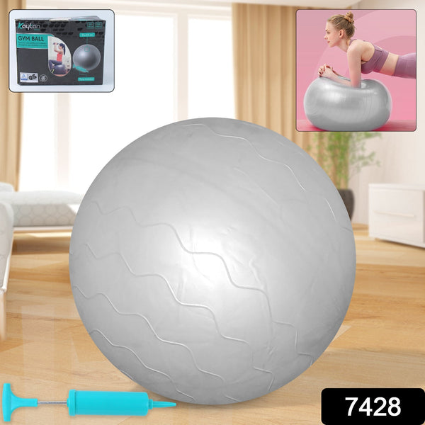 Heavy Duty Gym Ball Non-Slip Stability Ball with Foot Pump for Total Body Fitness the24kgal